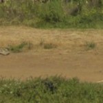 cropped-IMG_7616.jpg