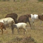 cropped-IMG_7673.jpg